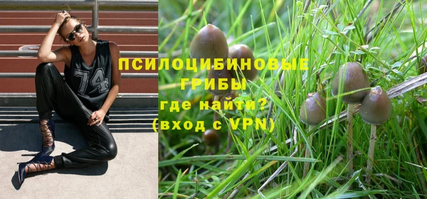 2c-b Белокуриха