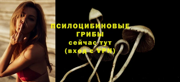2c-b Белокуриха
