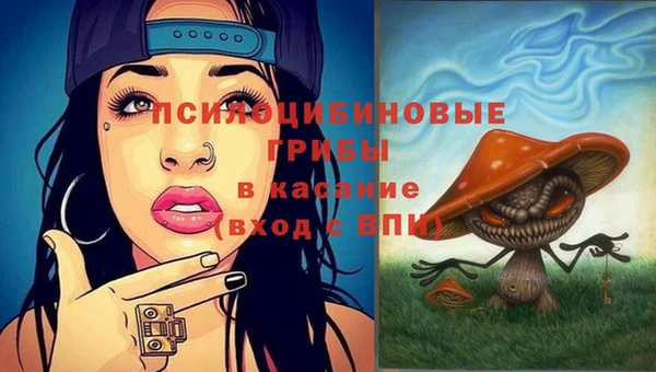 MDMA Беломорск