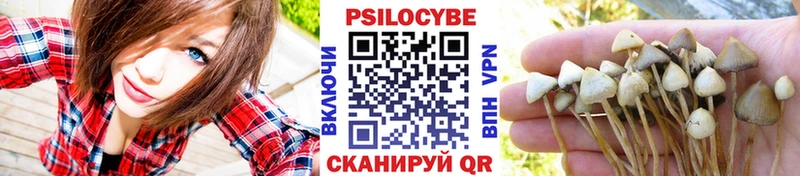 где продают   kraken вход  Галлюциногенные грибы GOLDEN TEACHER  Троицк 