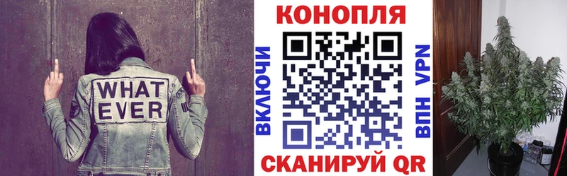 купить закладку  Троицк  Марихуана гибрид 